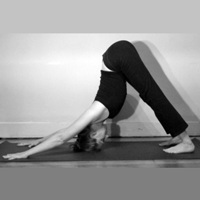 Adho Mukhasvanasana - Downward facing dog pose