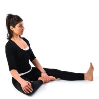 Ardh Tittali - half butterfly