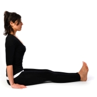 Dandasana - Prarambhik Stithi - basic or starting pose