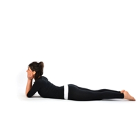 Crocodile Pose - Makarasana