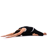 Animal Pose Saithalyasana