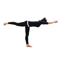 Veerbhadrasana Three Warrior Pose 3
