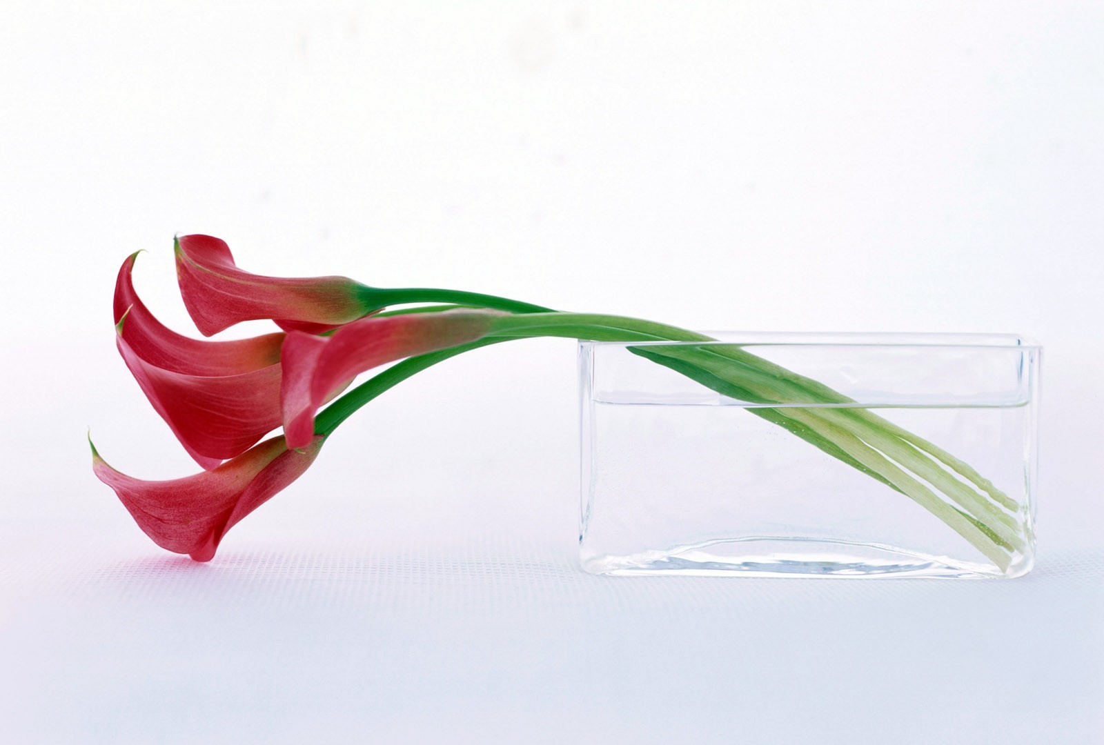 backward bending poses